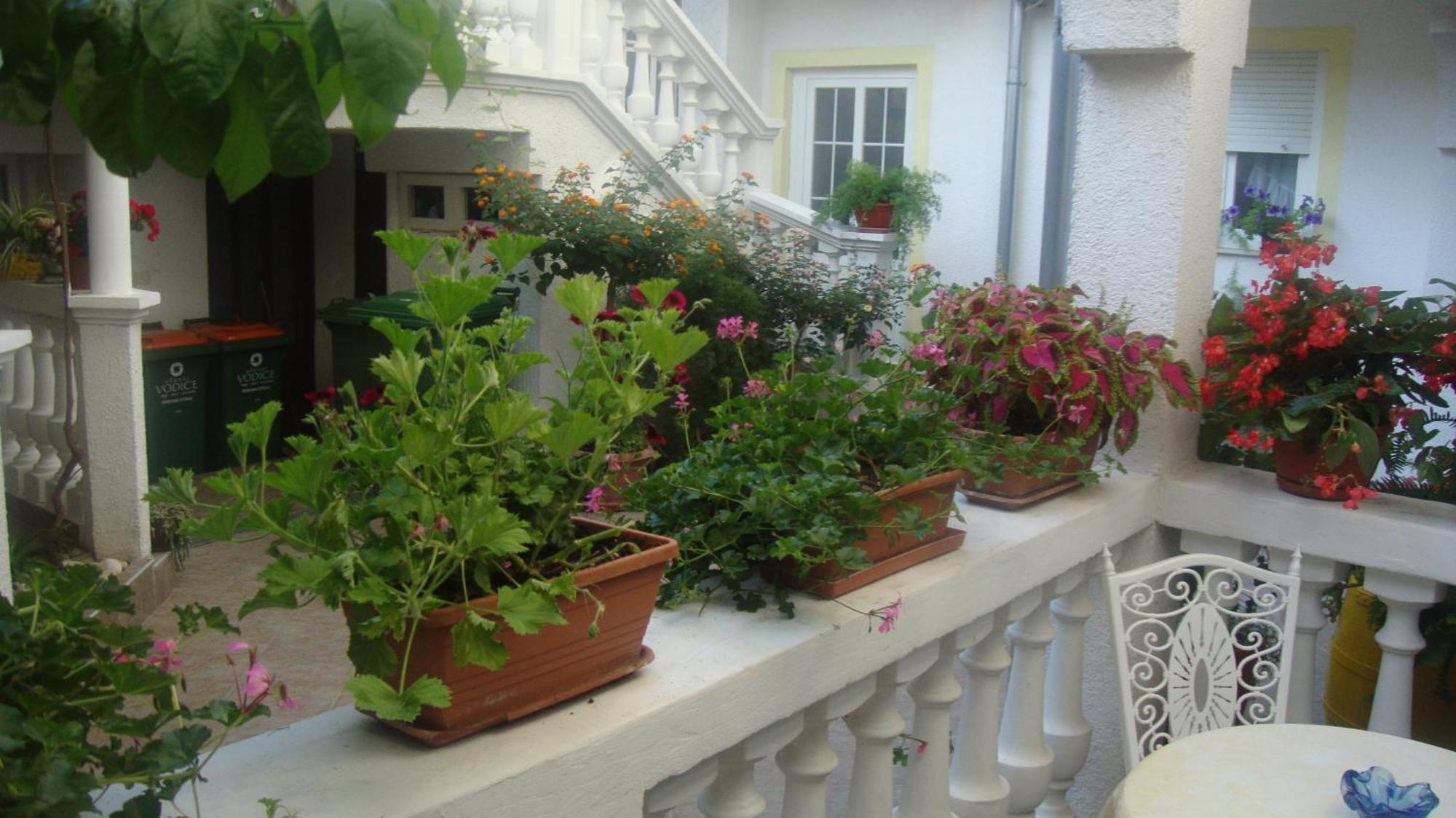 Apartments Vodice Marica Δωμάτιο φωτογραφία
